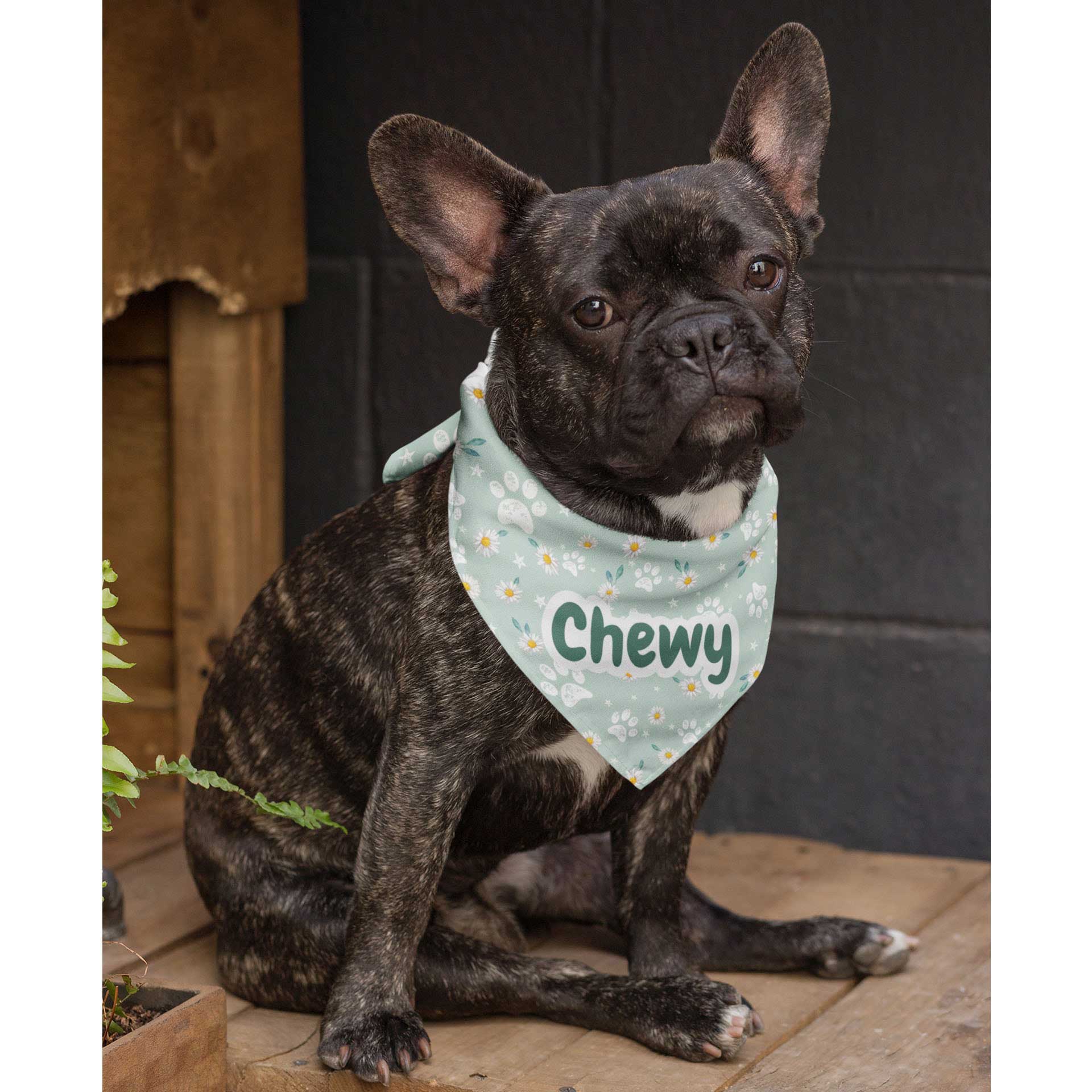 A photo of a dog wearing the bandana with the words Chewy written on it. 