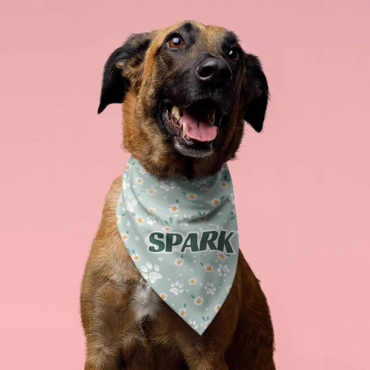 A dog wears the Dogs Pure Love bandana with the name 'Spark' written on it.