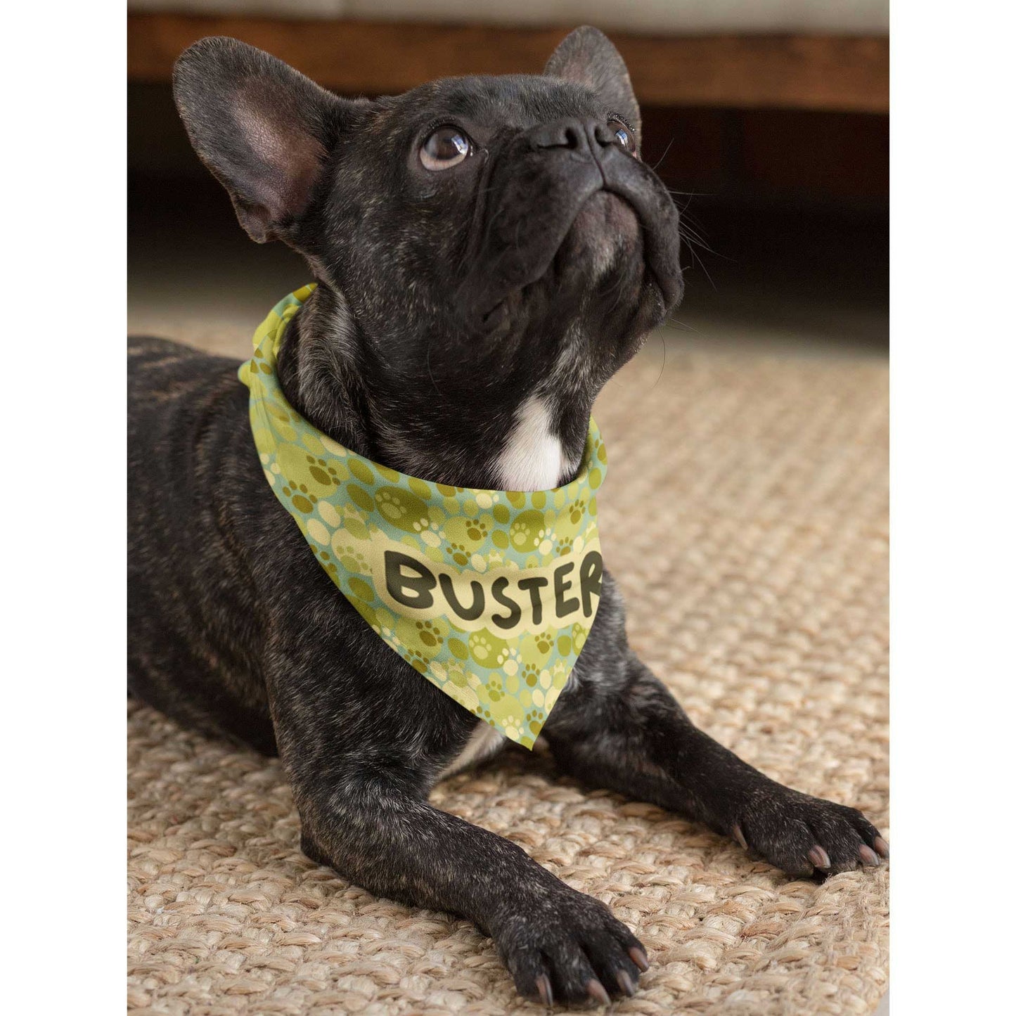 A photo shows a dog looking up wearing a Dogs Pure Love bandana with the name 'Buster' on it.