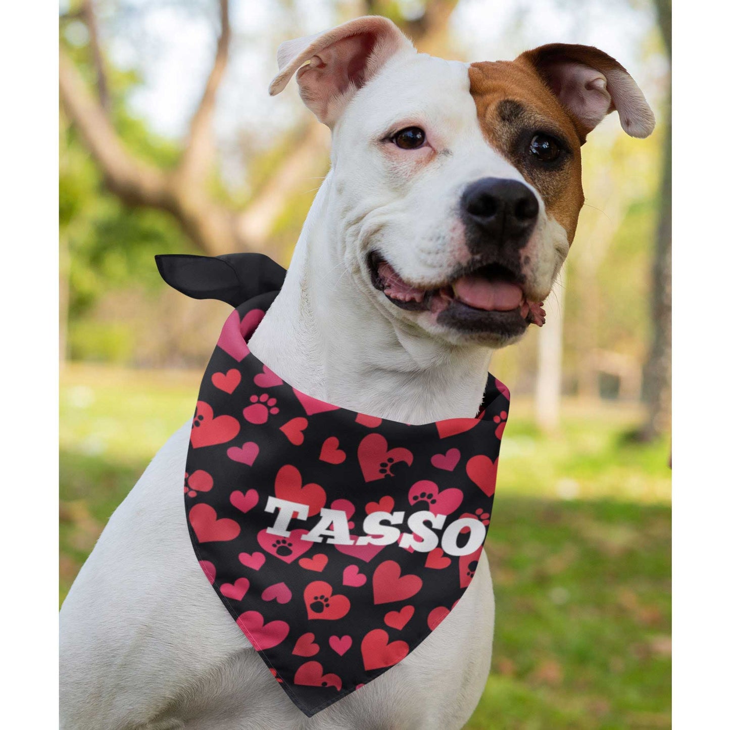 A dog wears the Dogs Pure Love bandana with the name 'Tasso' written on it. 