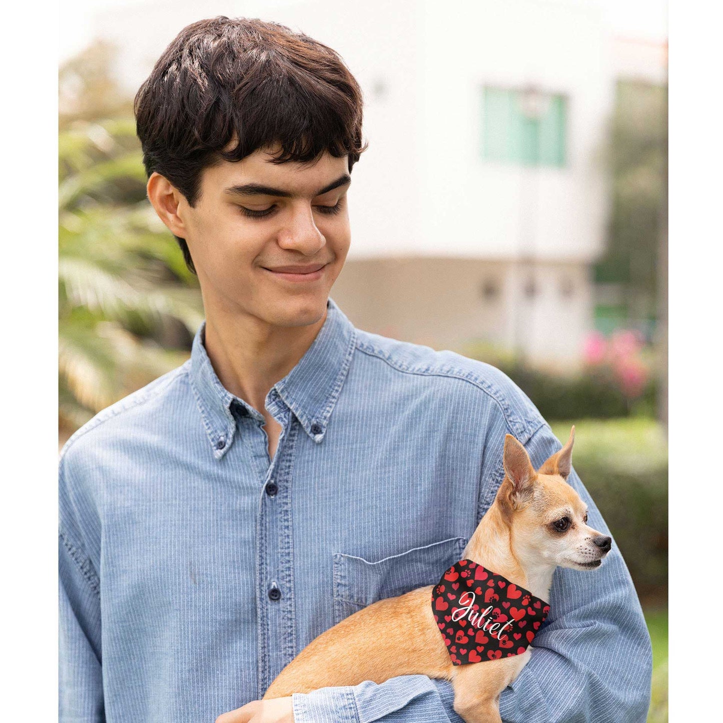 A man looks down at his Chihuahua he is holding. The small dog wears a bandana with the name 'Juilet' written on it.